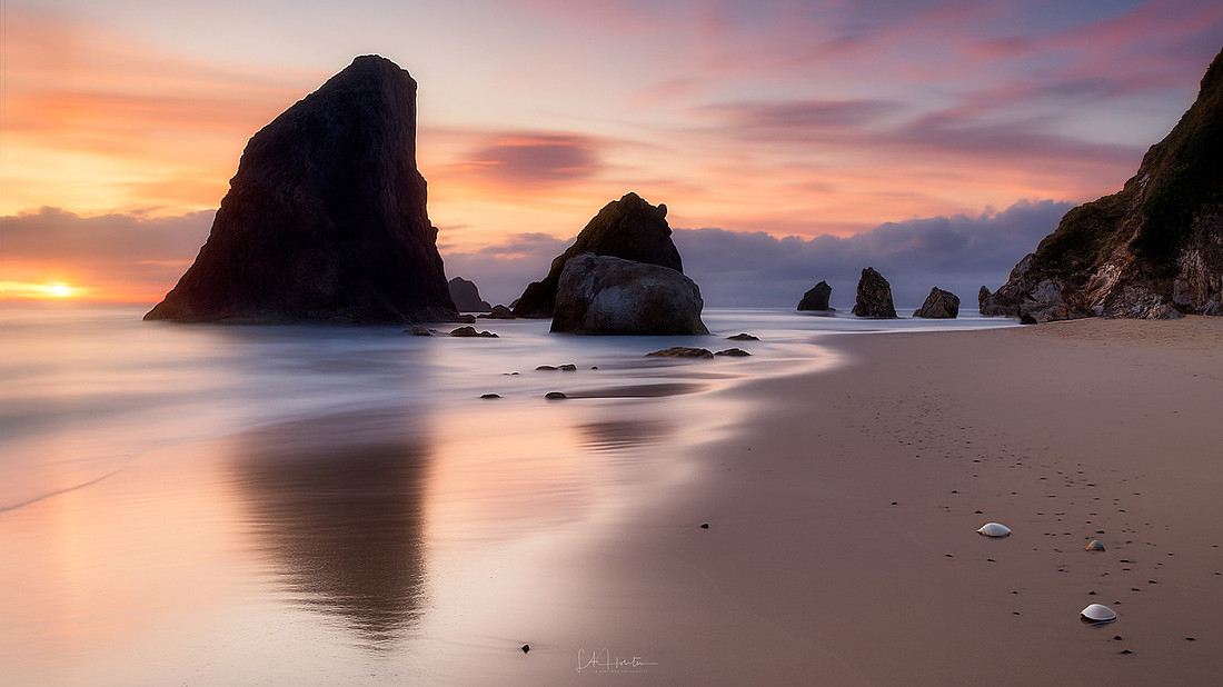 Shells and Sunrises