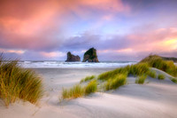 New Zealand Pink