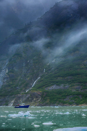 Juneau Dreams